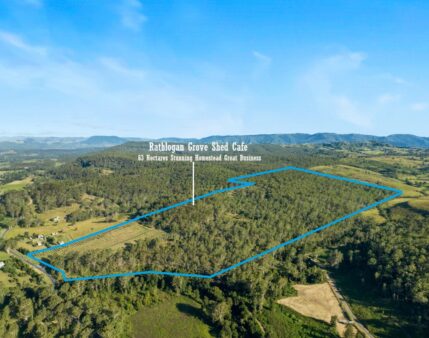 Uploads1741779315157 0iarw4uw0ku8 6c4e93a1302c317337af286fefbff368property map